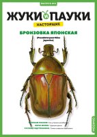 Выпуск №4: Жуки и пауки, Бронзовка японская