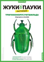 Выпуск №8: Жуки и пауки, Тригонофорус ротшильда