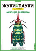 Выпуск №9: Жуки и пауки, Азиатская фонарница