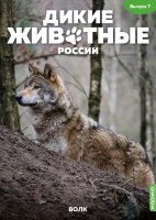 Дикие животные России № 7: Волк