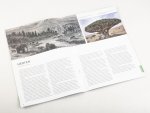 Выпуск №29. Камни и минералы. Тайны недр, Гессонит Камни и минералы (MODIMIO), фото 4