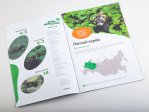 Дикие животные России № 50: Лесной хорёк Дикие животные России, фото 3