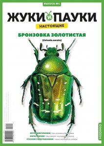 Выпуск №1: Жуки и пауки, Бронзовка золотистая