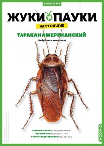 Выпуск №3: Жуки и пауки, Таракан американский