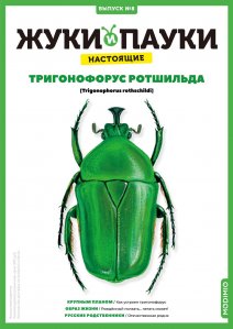 Выпуск №8: Жуки и пауки, Тригонофорус ротшильда