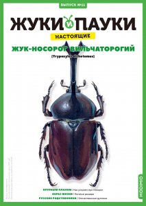 Выпуск №11: Жуки и пауки, Жук-носорог вильчаторогий