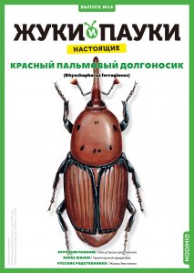 Выпуск №14: Жуки и пауки, Красный пальмовый долгоносик