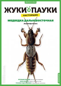 Выпуск №15: Жуки и пауки, Медведка дальневосточная
