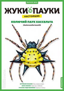 Выпуск №21: Жуки и пауки, Колючий паук Хассельта