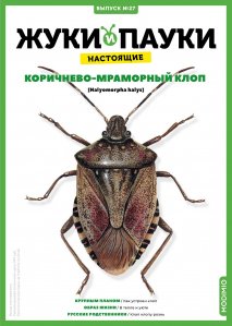 Выпуск №27: Жуки и пауки, Коричнево-мраморный клоп 