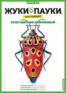 Выпуск №35: Жуки и пауки, Клоп щитник оранжевый