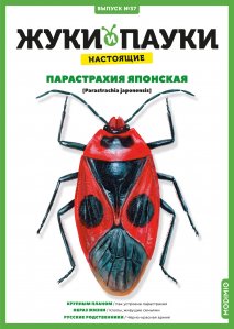 Выпуск №37: Жуки и пауки, Парастрахия японская