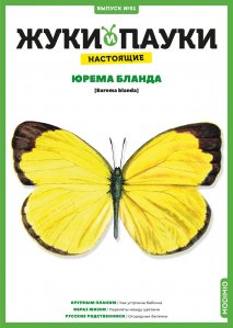 Выпуск №51: Жуки и пауки, Юрема бланда