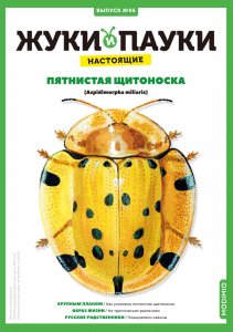 Выпуск №56: Жуки и пауки, Пятнистая щитоноска