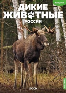 Дикие животные России № 11: Лось