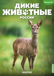 Дикие животные России № 14: Косуля