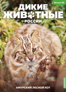 Дикие животные России № 48: Амурский лесной кот Дикие животные России