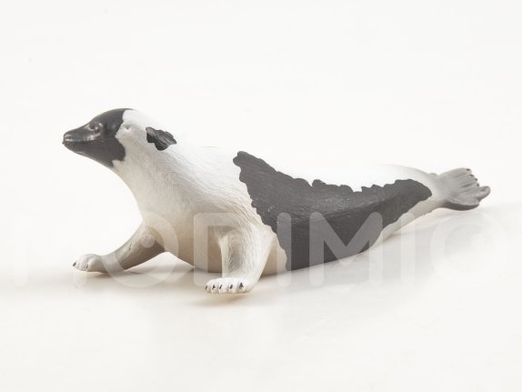 Дикие животные России № 39: Гренландский тюлень Дикие животные России, фото 7